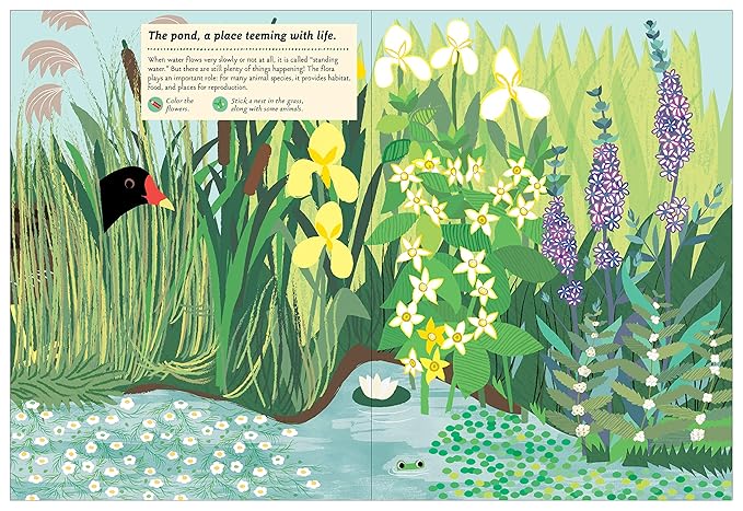 Streams and Ponds: My Nature Sticker Activity Book: 1