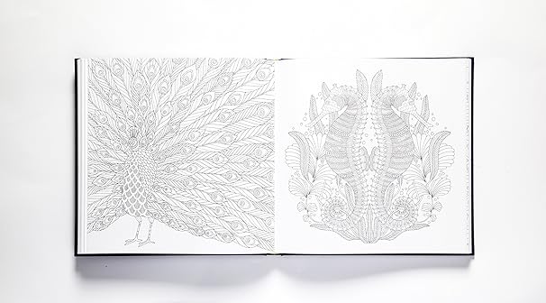 Millie Marotta's Tropical Wonderland Deluxe Edition