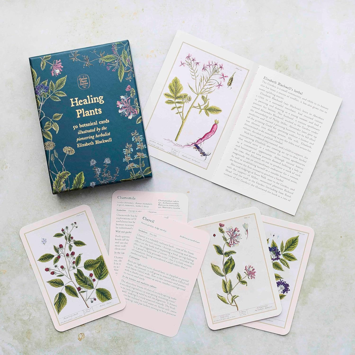 Healing Plants: 50 botanical cards illustrated by the pioneering herbalist Elizabeth Blackwell