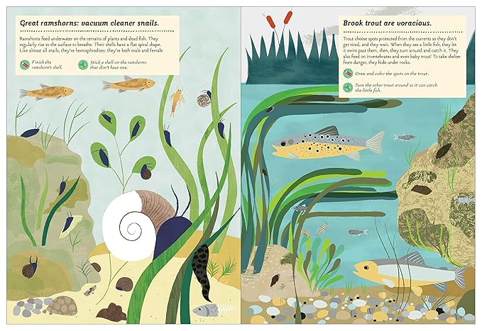 Streams and Ponds: My Nature Sticker Activity Book: 1
