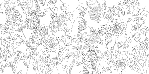 Millie Marotta's Tropical Wonderland