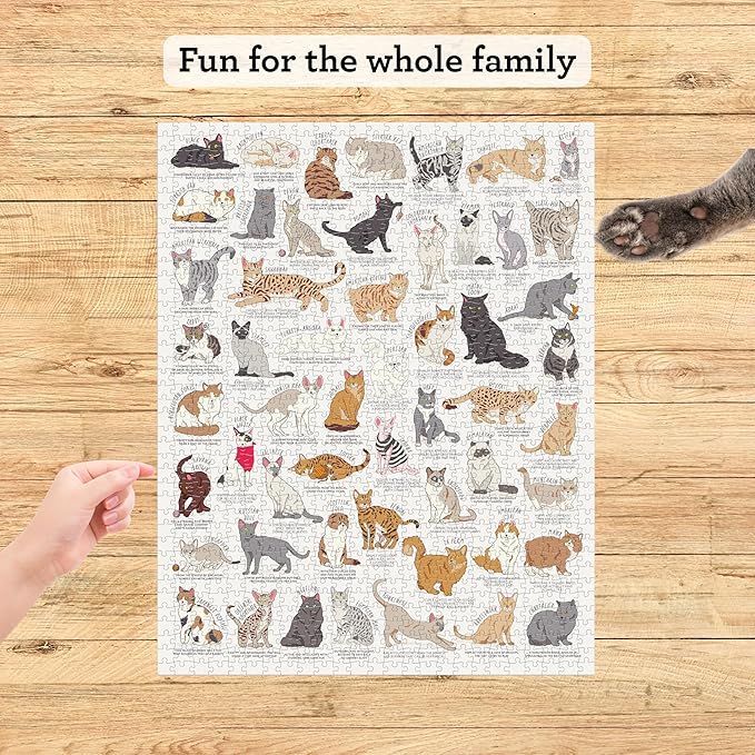 Ridley's Games JIG055 Cat Lover's 1000 Piece Jigsaw Puzzle, Multicoloured