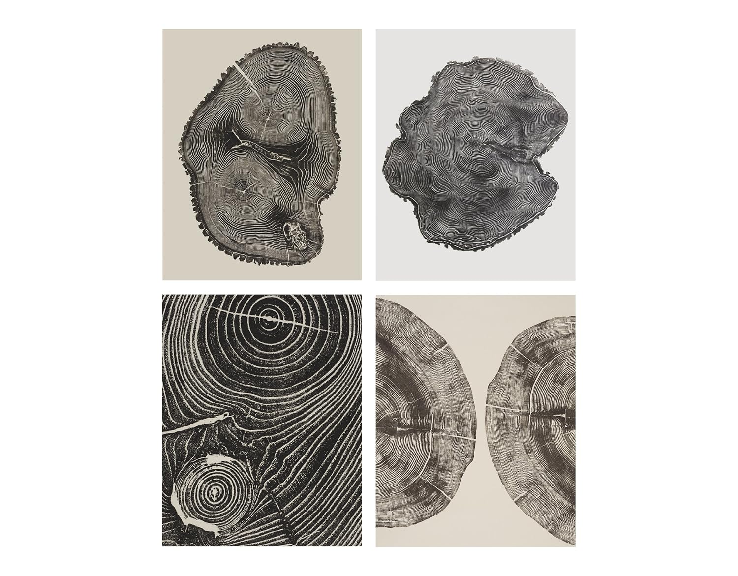 Woodcut Notecards: Notecards in box