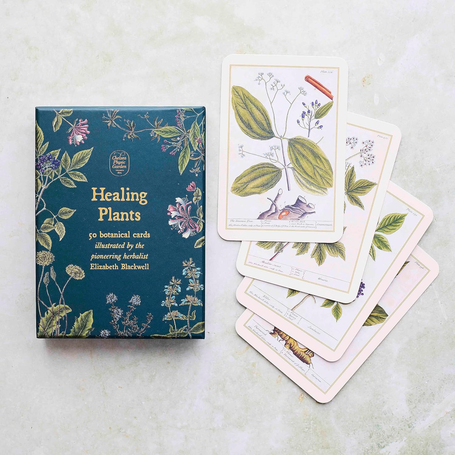 Healing Plants: 50 botanical cards illustrated by the pioneering herbalist Elizabeth Blackwell