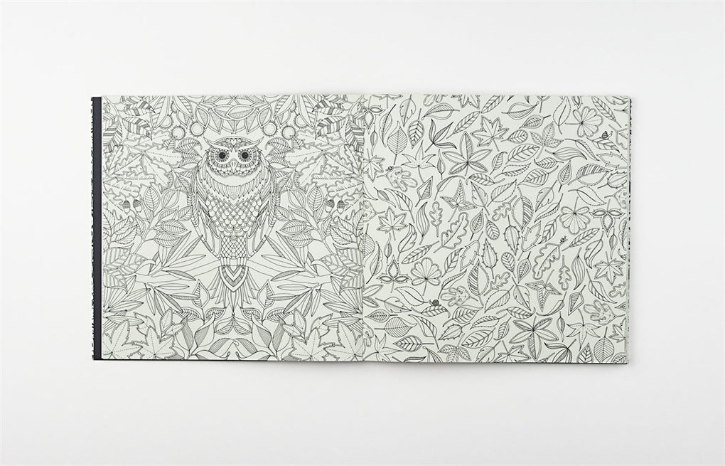 Secret Garden - An Inky Treasure Hunt and Colouring Book