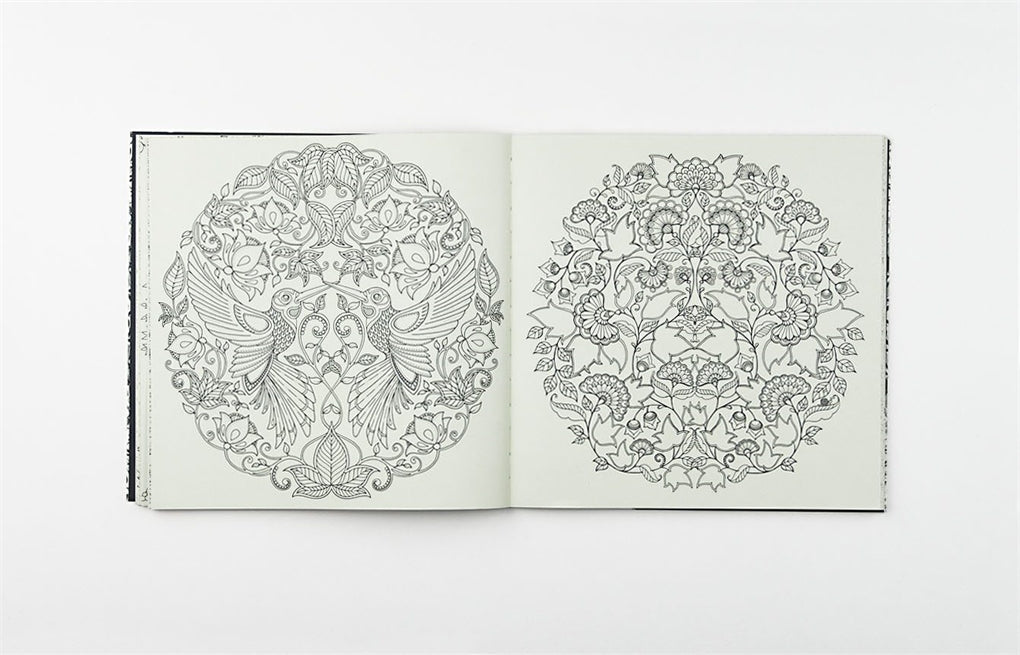 Secret Garden - An Inky Treasure Hunt and Colouring Book