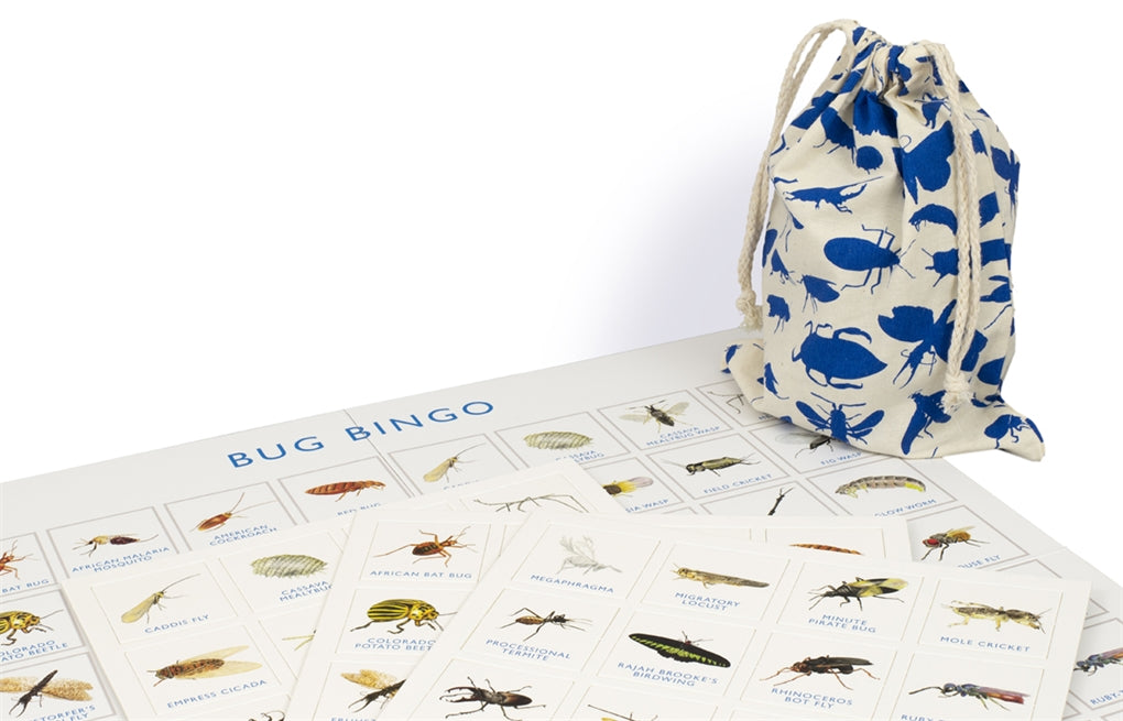 Bug Bingo
