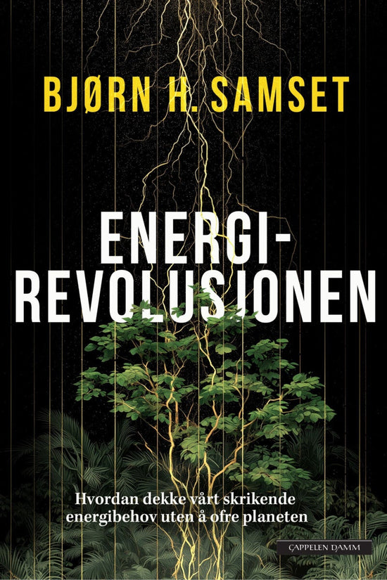 Energirevolusjonen - hvordan dekke vårt skrikende energibehov uten å ofre planeten