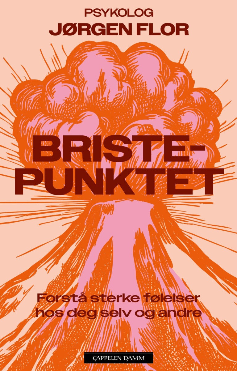 Bristepunktet