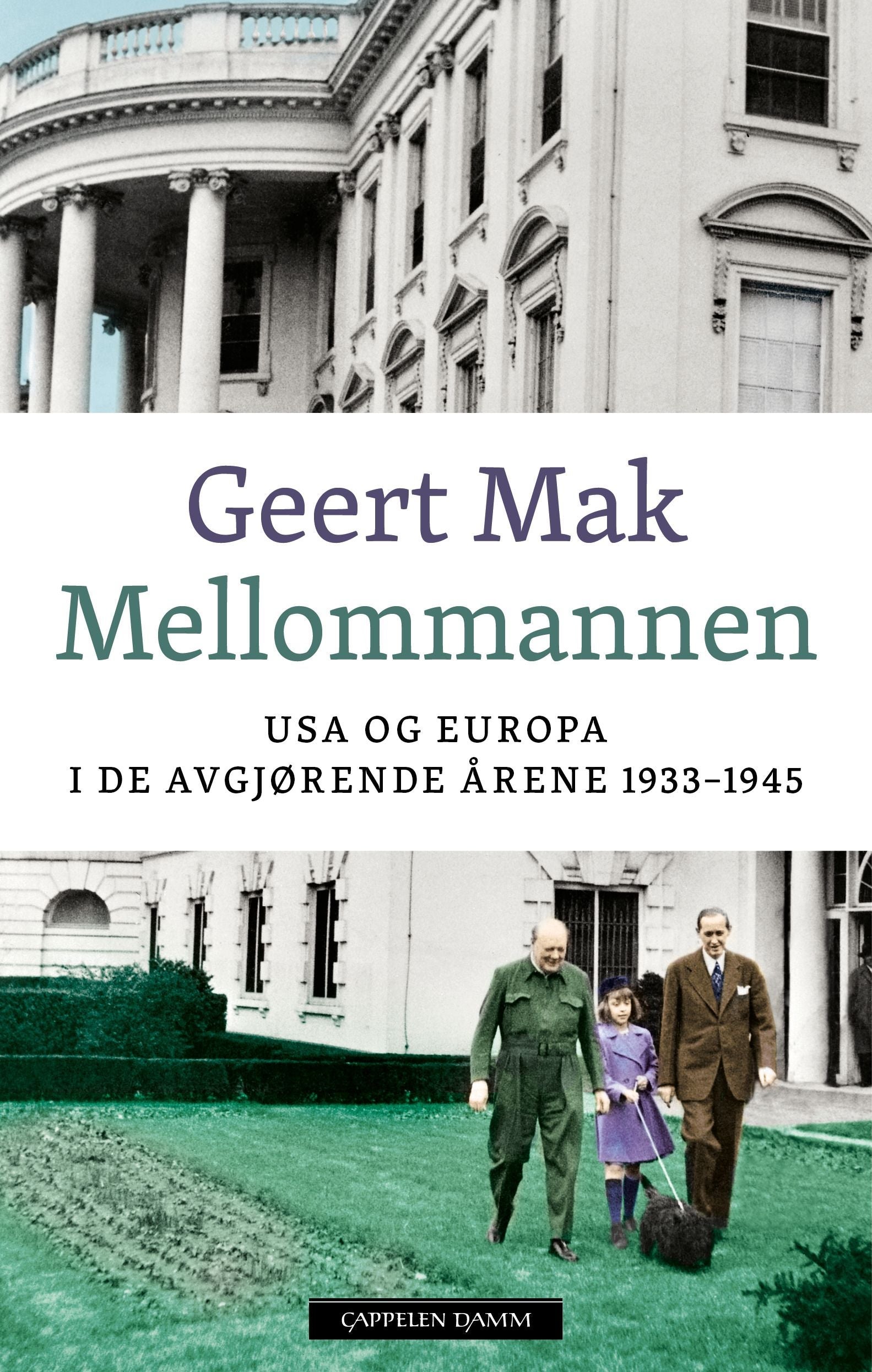 Mellommannen - USA og Europa i de avgjørende årene 1933-1945