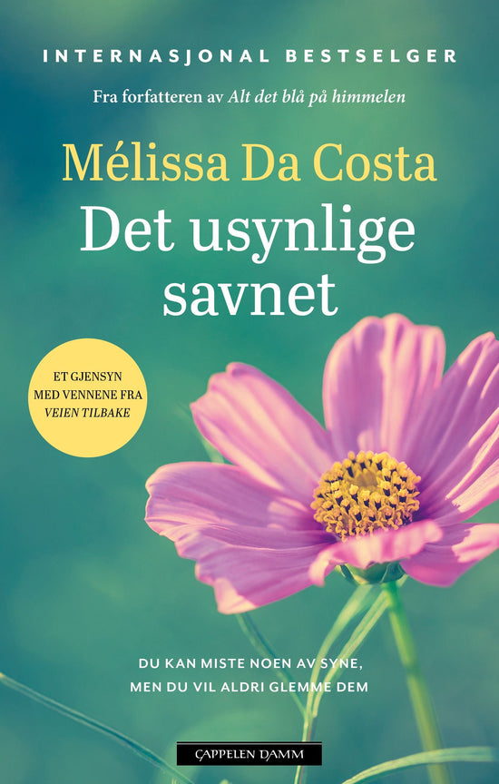 Det usynlige savnet