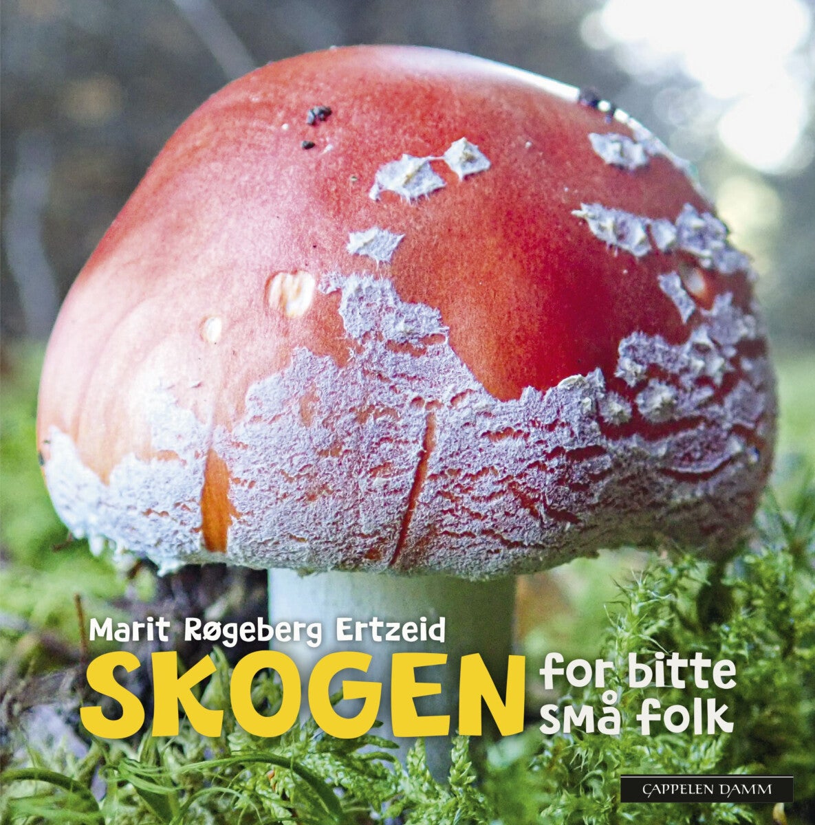 Skogen for bitte små folk