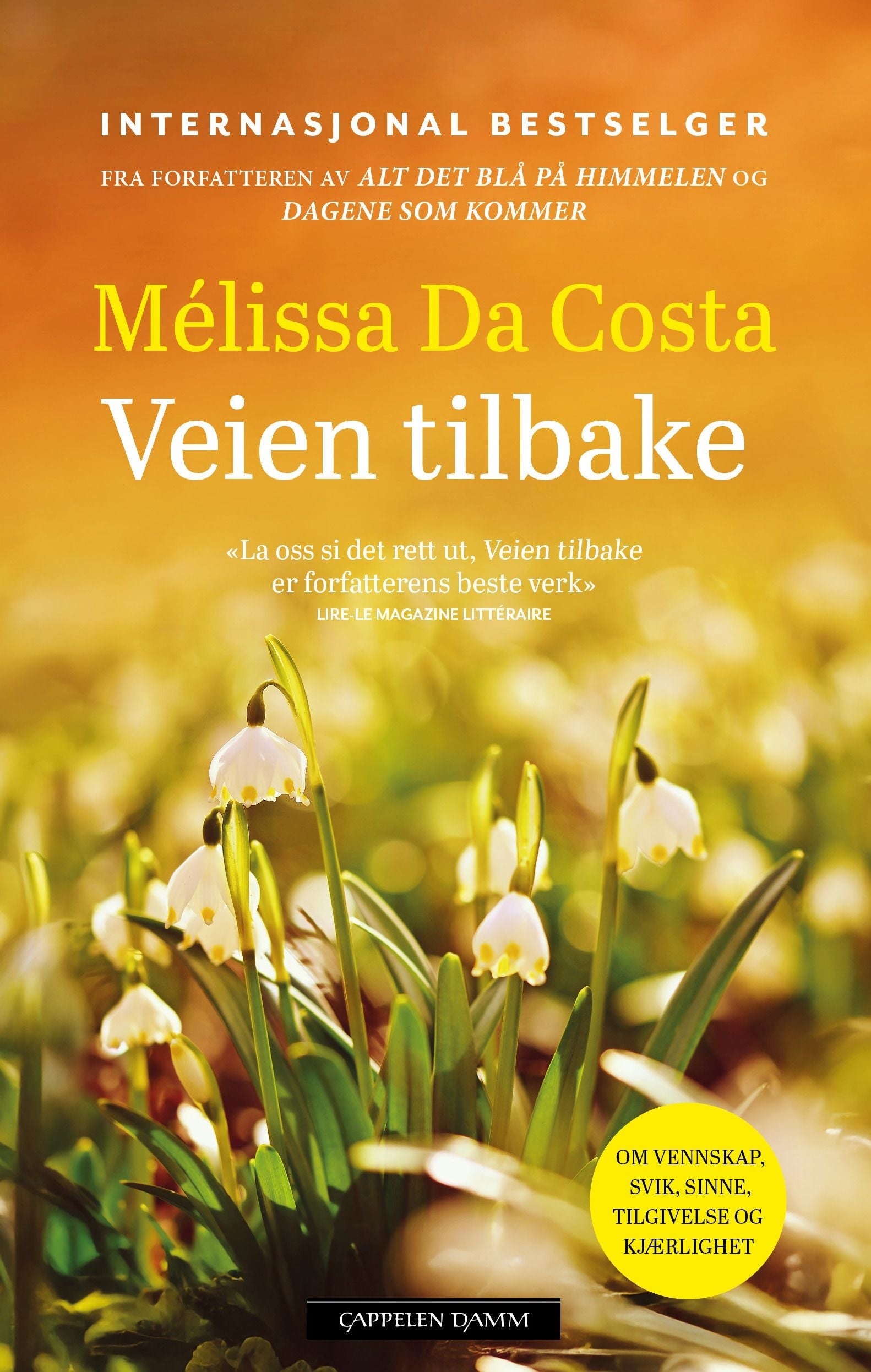 Veien tilbake