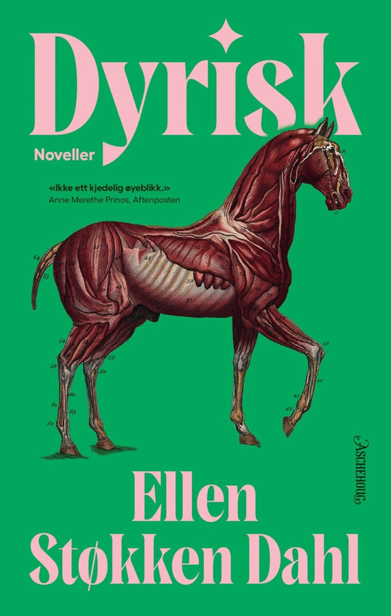 Dyrisk