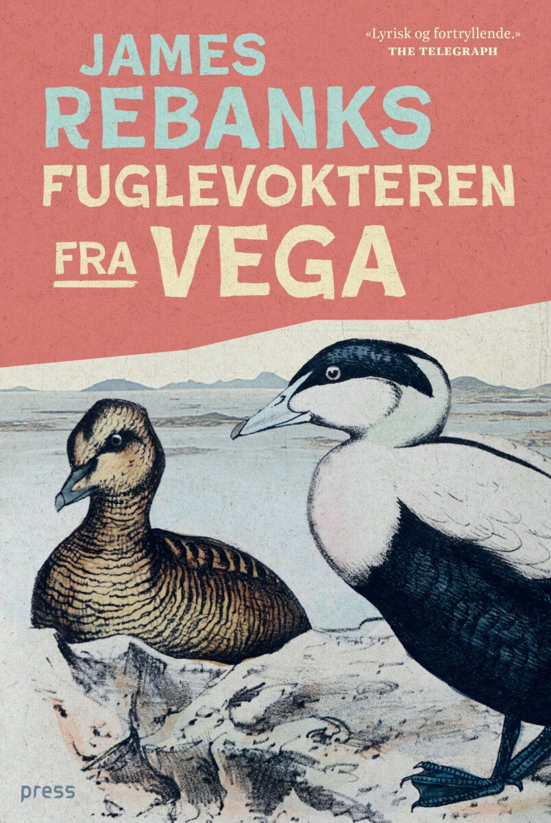 Fuglevokteren fra Vega