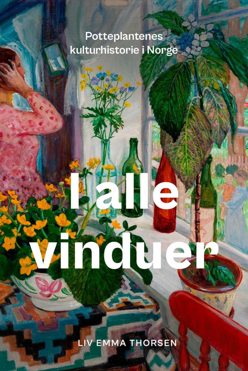 I alle vinduer