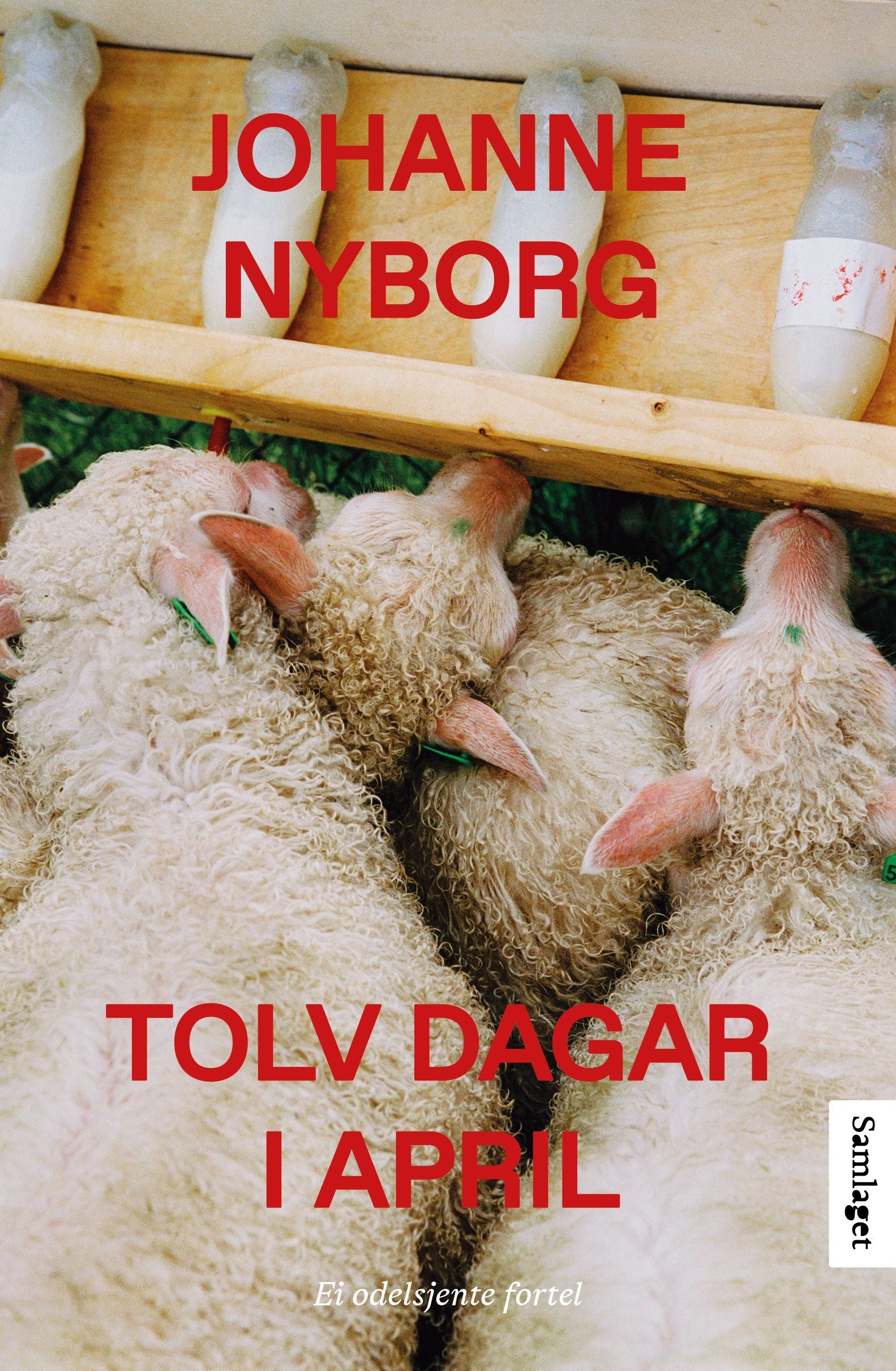 Tolv dagar i april