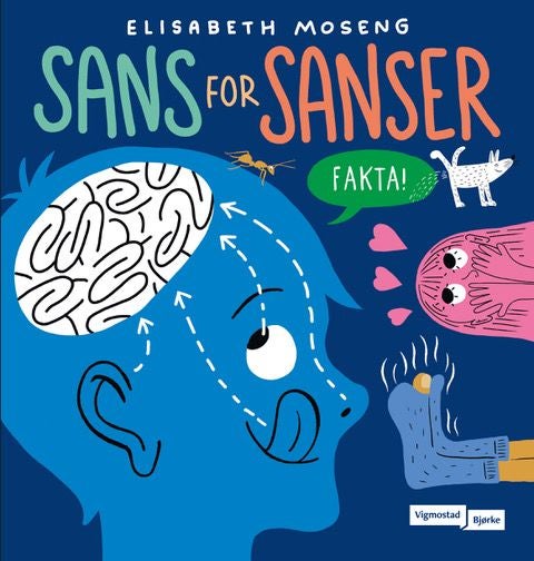 Sans for sanser