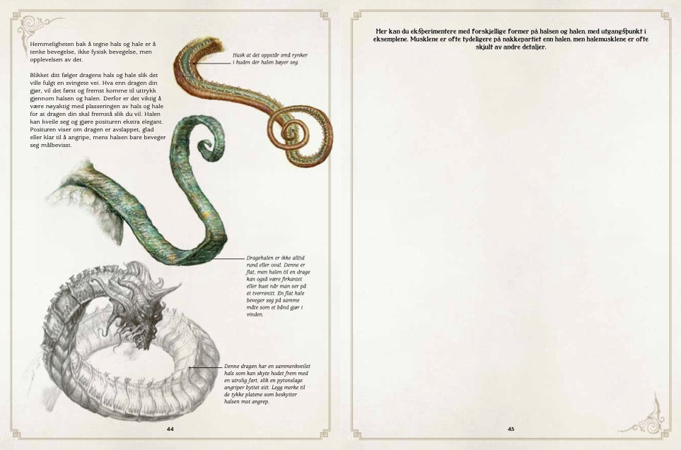 Fantastiske drager og hvordan tegne dem