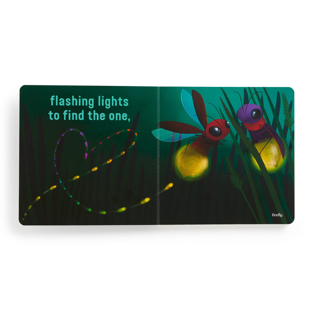 Love Under the Stars Board Book