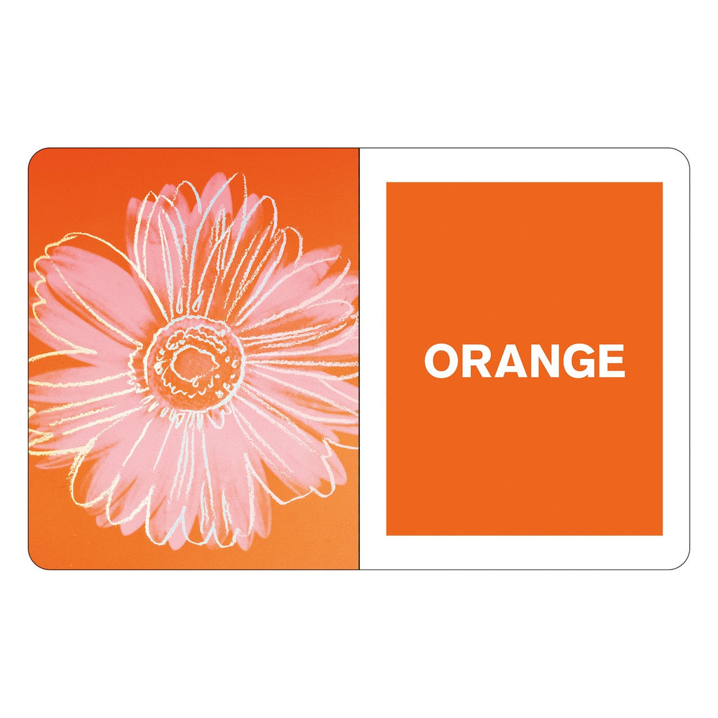 Andy Warhol What Colors Do You See? Board Book