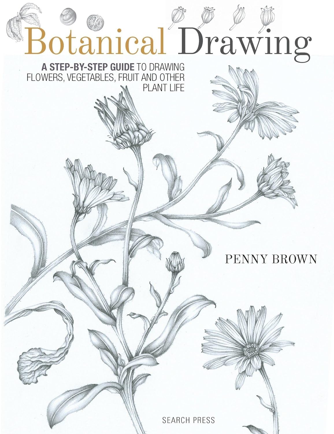 Botanical Drawing: A step-by-Step guide to drawing flowers, vegetables, fruit and other plant life