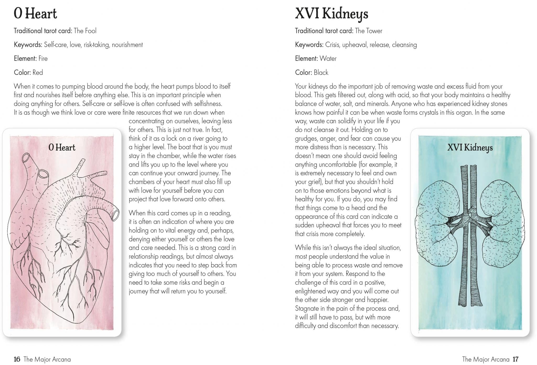 The Tree Magick Oracle Deck