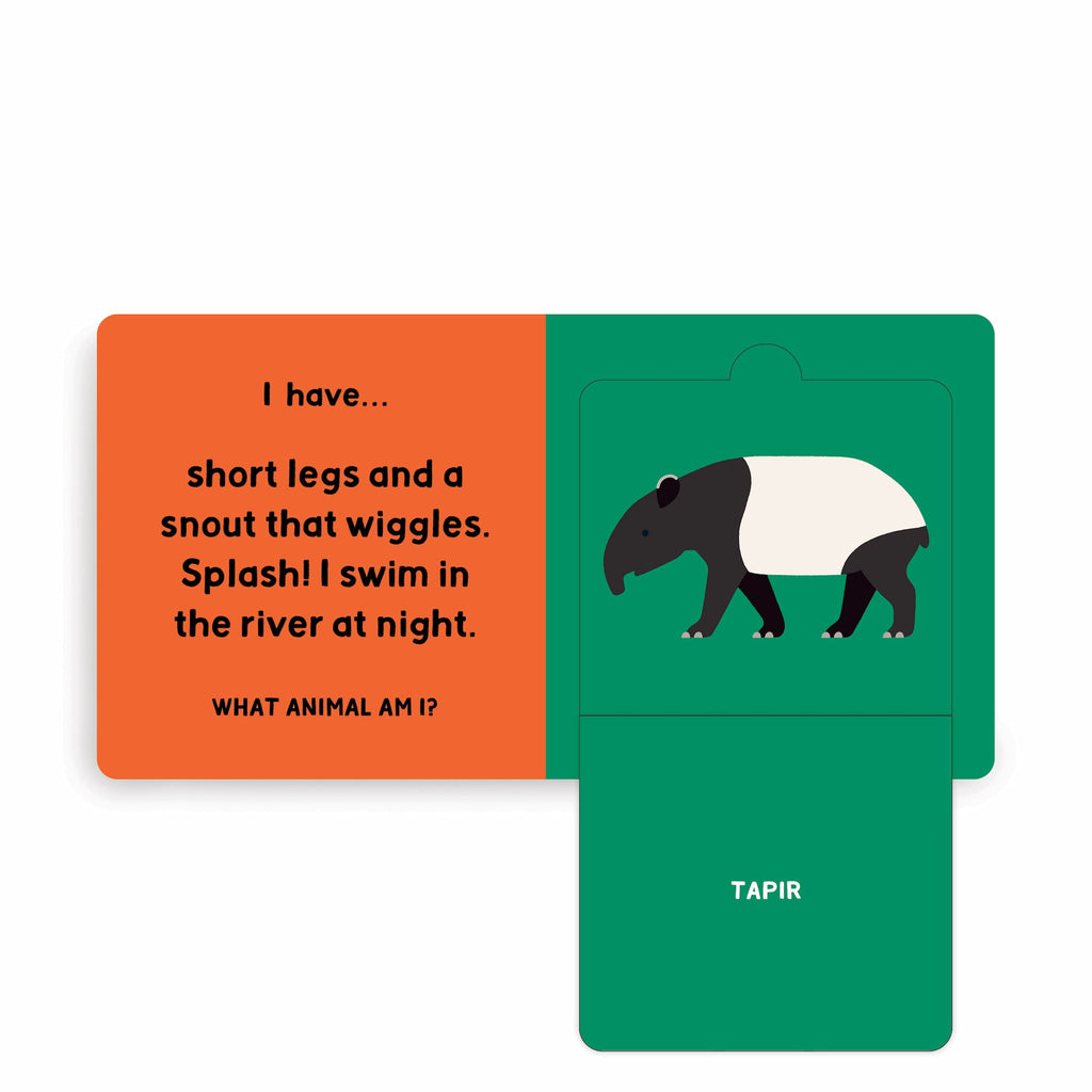 Jungle Tracks Lift-the-Flap Board Book