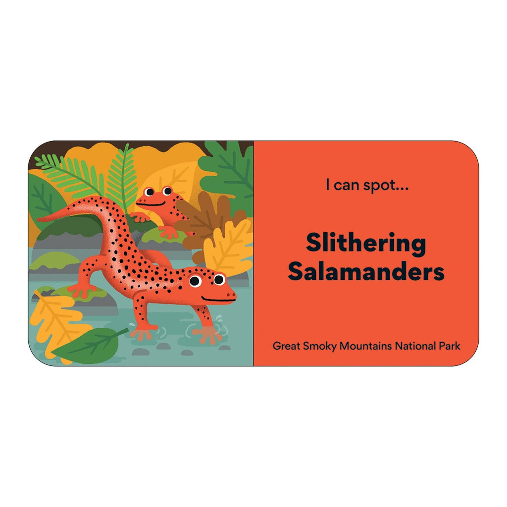 Little Park Ranger Board Book Set