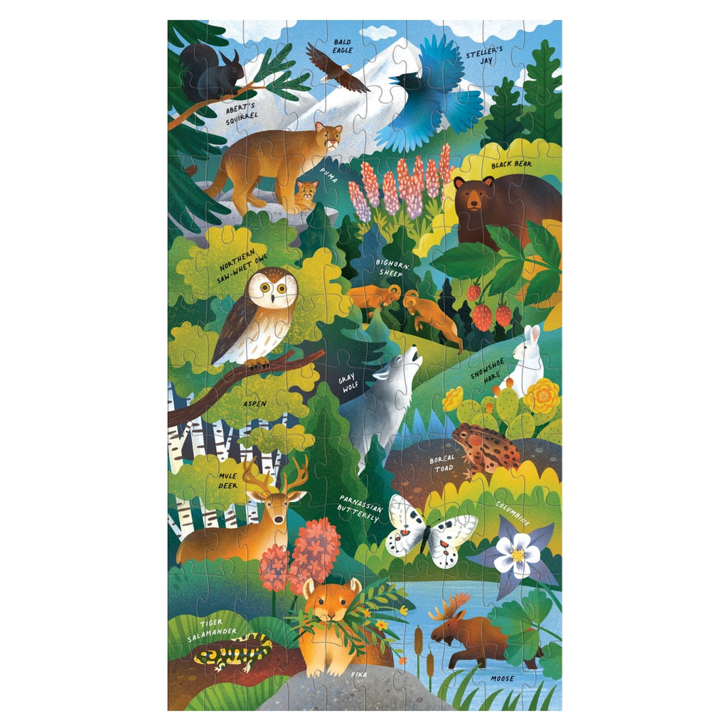 Momentous Mountains Science Puzzle Set
