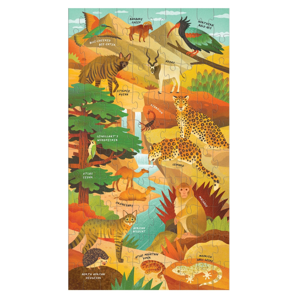 Momentous Mountains Science Puzzle Set