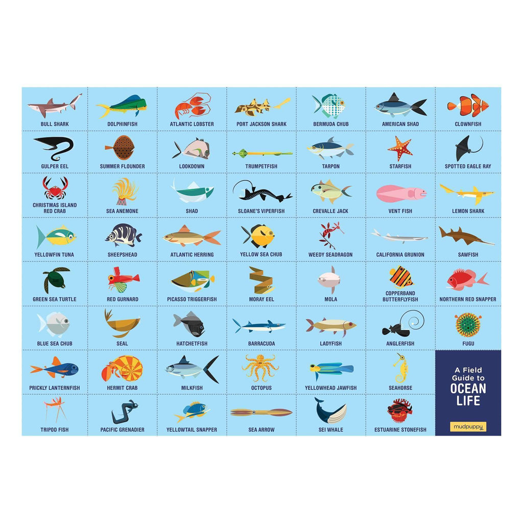Ocean Life Search & Find Puzzle