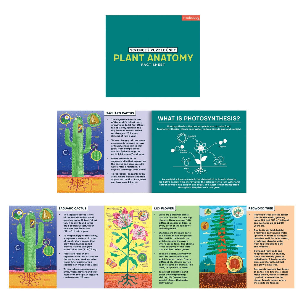 Plant Anatomy Science Puzzle Set