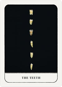 Gentle Chaos Pocket Oracle Deck