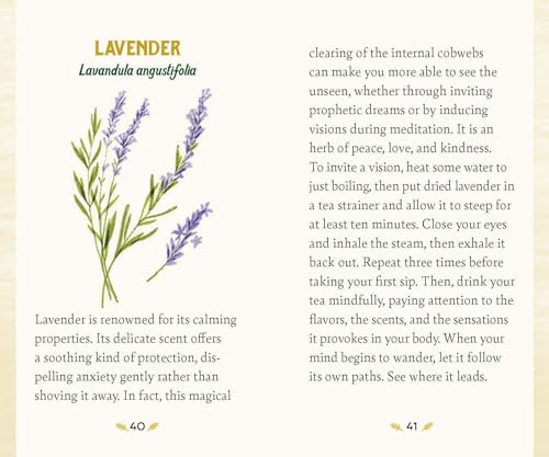 Forest Magic Oracle: A Deck and Guidebook for Green Witches