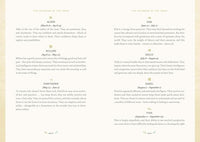 Forest Magic: Rituals and Spells for Green Witchcraft