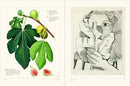 The Secret Language of Plants: Art, Nature & Symbolism