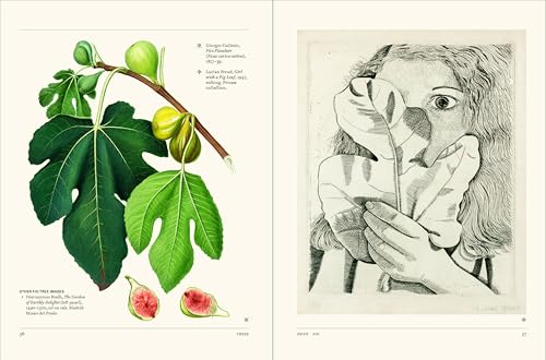 The Secret Language of Plants: Art, Nature & Symbolism
