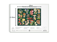 World of Mushrooms 1000 Piece Puzzle