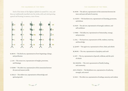 Forest Magic: Rituals and Spells for Green Witchcraft