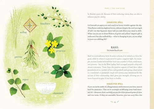 Forest Magic: Rituals and Spells for Green Witchcraft