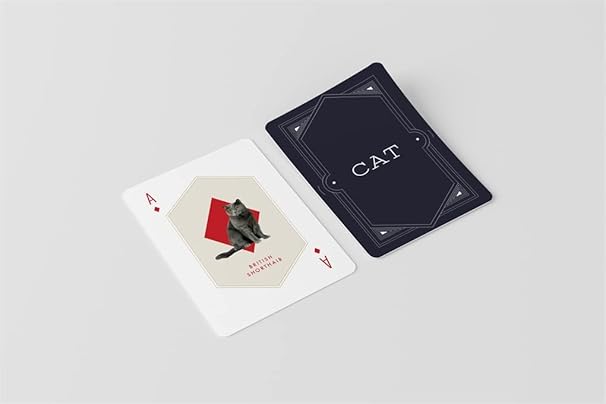 Cat & Dog Playing Cards Set: (2 sets of 54 cards in a box)