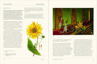 The Secret Language of Plants: Art, Nature & Symbolism