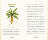 Forest Magic Oracle: A Deck and Guidebook for Green Witches