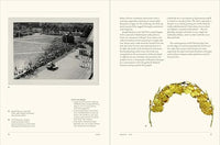 The Secret Language of Plants: Art, Nature & Symbolism