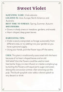 Enchanted Foraging Deck: 50 Plant Identification Cards to Discover Nature's Magic