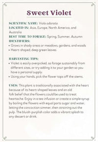 Enchanted Foraging Deck: 50 Plant Identification Cards to Discover Nature's Magic