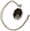 Harry Potter Locket Horcrux Kit and Sticker Book (Harry Potter (english))