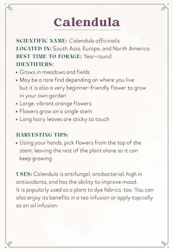 Enchanted Foraging Deck: 50 Plant Identification Cards to Discover Nature's Magic