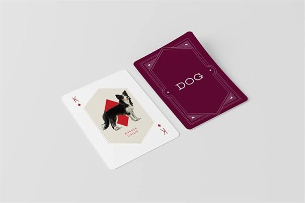 Cat & Dog Playing Cards Set: (2 sets of 54 cards in a box)